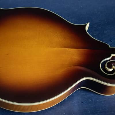 Epiphone 1983 Epiphone MM-50 image 5
