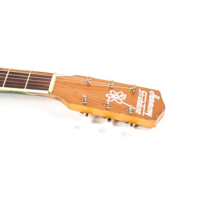 Harmony Stratotone Owned by Nathaniel Rateliff image 14