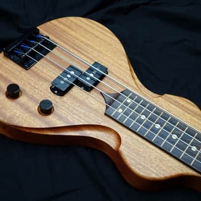 Rukavina Bass Lapsteel Guitar - 30" Scale image 2