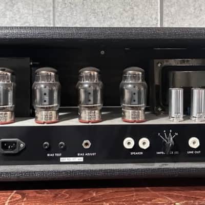 Sunn Model T (clone) image 5
