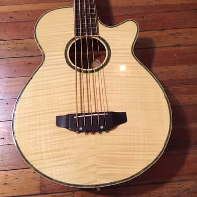 JB Player JBEAB4000NA 5-String Acoustic Electric Bass image 1