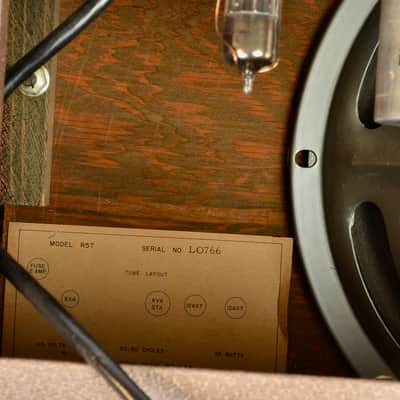 DeArmond R5T 1960 - Tan Tolex- very clean image 19