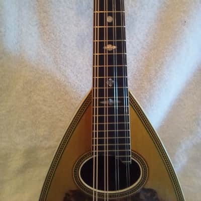 Washburn Model 130 1895-1900 - Gloss image 8