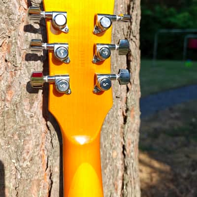 Mensinger Preacher 2026 - butterscotch-transparent, custom made, EZ 01/26 image 3