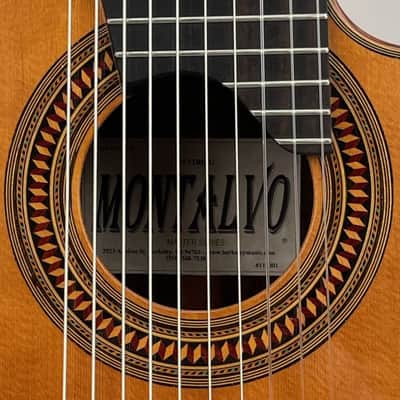 Montalvo 10 String Classical Guitar 2023 - Nitro Gloss image 2
