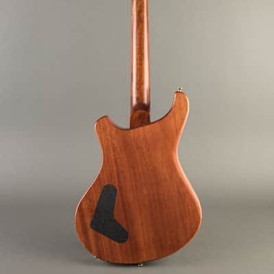 Baldacci Bighorn Semi-Hollow 2020, Sunburst image 8