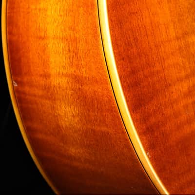 Hofner Jazzica - Sunburst #66 of 100 2005 image 14