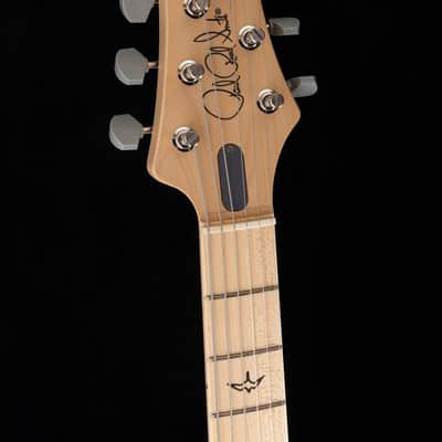 Paul Reed Smith John Mayer Signature Model Silver Sky Maple Venetian Blue image 7