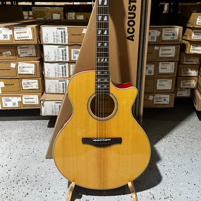 Ibanez AEL40SE-RLV | Reverb