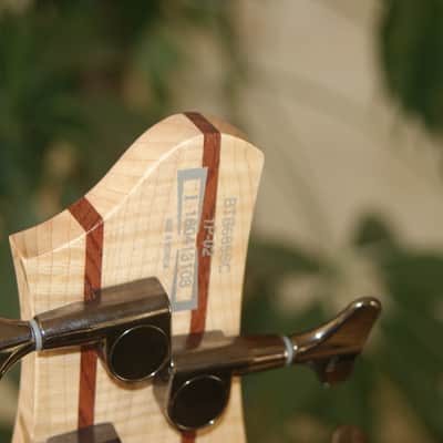 Ibanez BTB 885 SC Terra Firma image 9