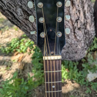 Gibson ES-125 1950 - sunburst image 4