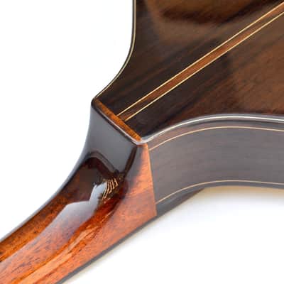 Early Model Trinity College TM-450 Celtic Mandolin image 7