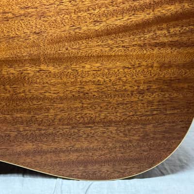 Alvarez AD60-12CE 12-string Acoustic Guitar with Case image 16