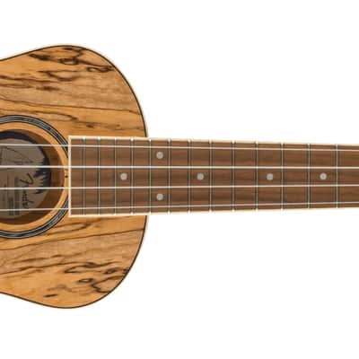 Fender Zuma Exotic Concert Ukulele 2022 - Present - Natural Spalted Maple image 1