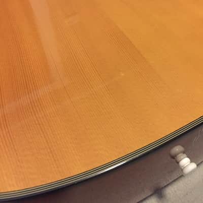 1997 Fender DG-20S Dreadnought Acoustic Guitar image 5