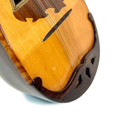 Concert Mandolin E. De Cristofaro 1930's image 6