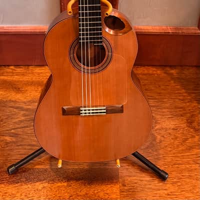 Ryosuke Kobayashi Guitars Nylon Crossover Electric Cocobolo | Reverb