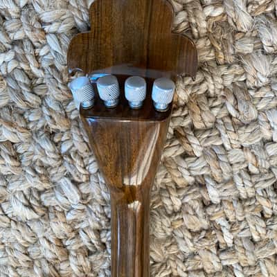 Mohammadi Brothers Kamancheh Kamanche spike fiddle image 10
