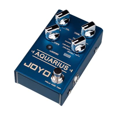 Joyo R-07 Revolution Series Aquarius Delay& Looper Guitar Effect Pedal - Jam Music Instruments image 3