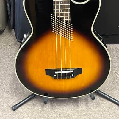 Washburn AB-20 image 1