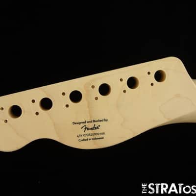 Fender Squier Sonic Esquire H NECK, image 6