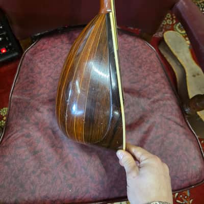 Washburn Cremonatone 215 Bowlback Mandolin w Original Case 1890s-1910s image 5