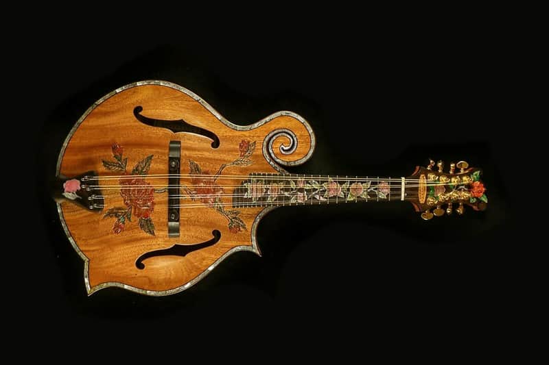 Blueberry Handmade Mandolin Floral Motif Built to Order in 90-Days image 1