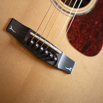 Cort Gold OC6-BO | All-Solid Acoustic / Electric OM Guitar w/ Case. New with Full Warranty! image 12