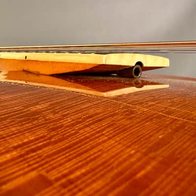 Epiphone Blackstone 1949 - Natural/Blonde image 22