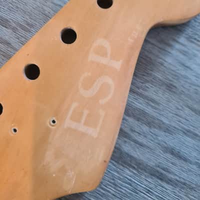 Very rare ESP Craft House Stratocaster neck 1980s image 7
