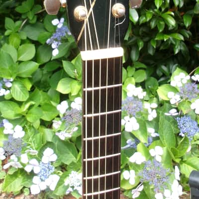 Alvarez Yairi WY-1BK Bob Weir Signature 1995 - Black (Made in Japan) with SKB Hard Case image 5