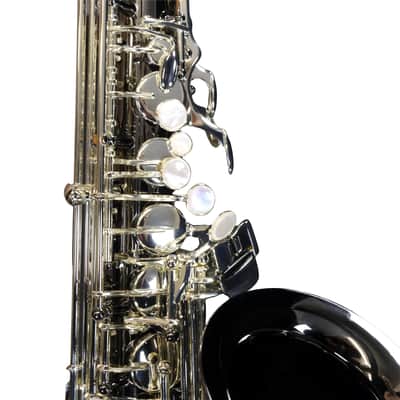 Selmer SAS711B Professional Alto Saxophone - Black Nickel image 9