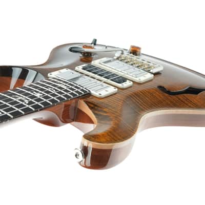 PRS Special 22 Semi Hollow Tiger Eye image 10
