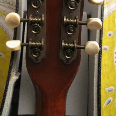 Penn by The United Guitar Company A Style Mandolin image 14
