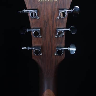 Ibanez AE100 Acoustic/Electric, Burgundy Flat image 10