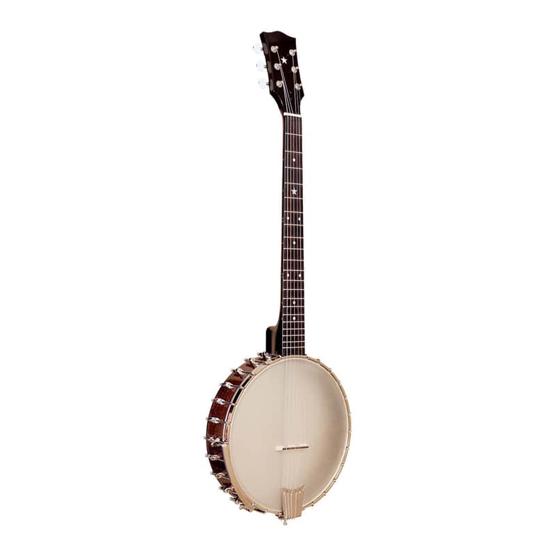 Gold Tone BT-2000 Banjitar image 1