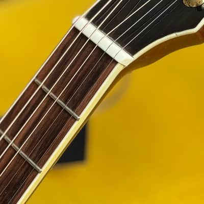 Big Thumb TH-20 – Natural, Early Vintage, 1974 image 7