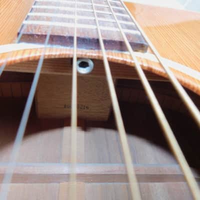 Daion  Mark1 Acoustic 1980 - Natural image 5