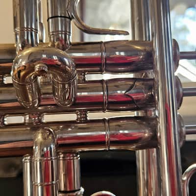 Shires Q10 2019 - Silver Plate - Immaculate image 6