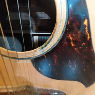 Ventura V-14 Late 60's Natural Made in Japan image 21