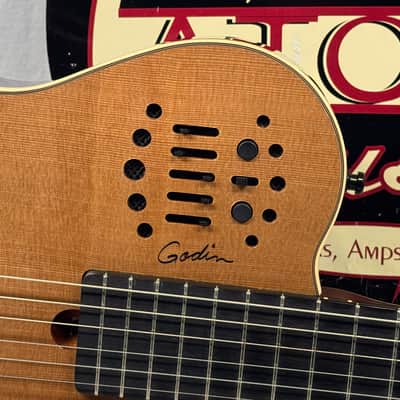 Godin Multiac Grand Concert SA Nylon String Classical Guitar with Case 2012 image 3