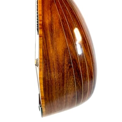 G. Kasermann Concert Mandolin (Apus Mark) 1920’s image 9