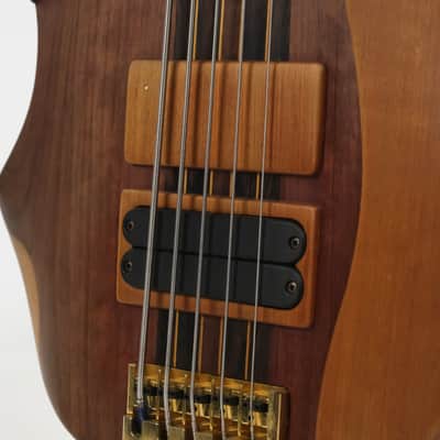 Alexander Behr Inspire! Double-Sided Bass Owned by Victor Wooten image 18
