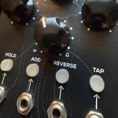 Erica Synths Digital Delay - Present - Black image 3