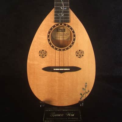 Handmade Thin Body Bowl Back Style Tenor Ukulele, Spruce, Mahogany, HummingBird, Vine Inlay, Soft-bag, Bruce Wei  UBB17-002 image 5