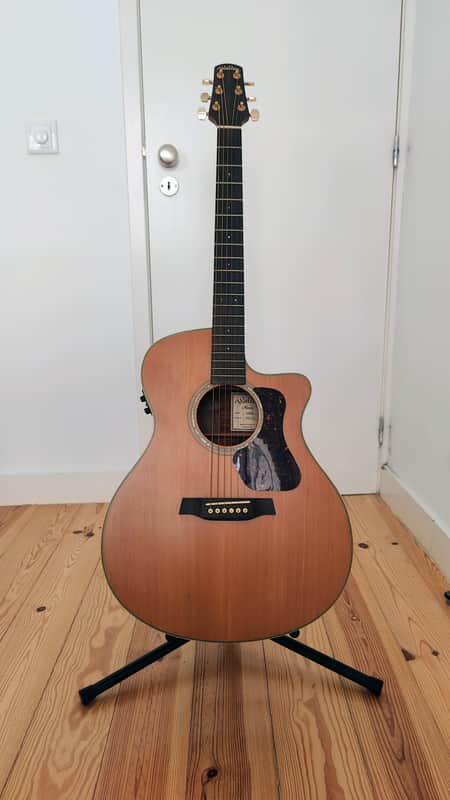 2012 Walden Natura G630CE Acoustic-Electric + Gig Bag image 1