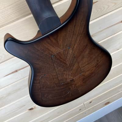 PRS Private Stock  Custom 24 Floyd Birds of a Feather NEW! PS #10796 image 21