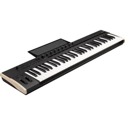 Korg Keystage 61 Poly AT MIDI Keyboard Controller PEDAL KIT image 8