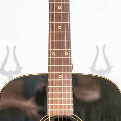Daion Year Series '79 Black Acoustic Six String image 3