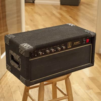 David Eden E300T Head imagen 2